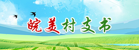 皖美村支書(shū)
