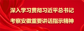深入學(xué)習(xí)貫徹習(xí)近平總書(shū)記考察安徽重要講話指示精神