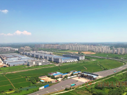 杭埠鎮：四贏聯建走穩致富路